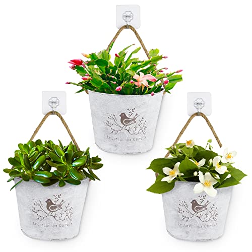 BOFUNX 3 Stücke Hängende Blumentöpfe Metall Vintage Blumentopf Hängeampel mit Juteseil Selbstklebend Haken für Blumen Pflanzen Wanddeko Gartendeko Wandvase von BOFUNX