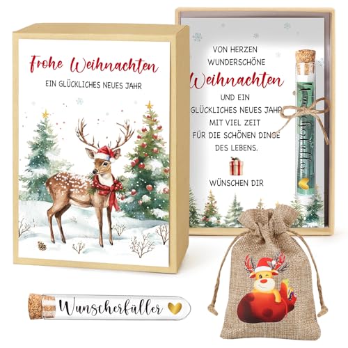 BOFUNX Weihnachten Geldgeschenk Inklusive Grußkarte Geschenkbox Kunststoff Reagenzglas Jutesäckchen für Weihnachten Geld Gutschein Verpackung Weihnacht Geschenk Nikolaus Geschenke von BOFUNX