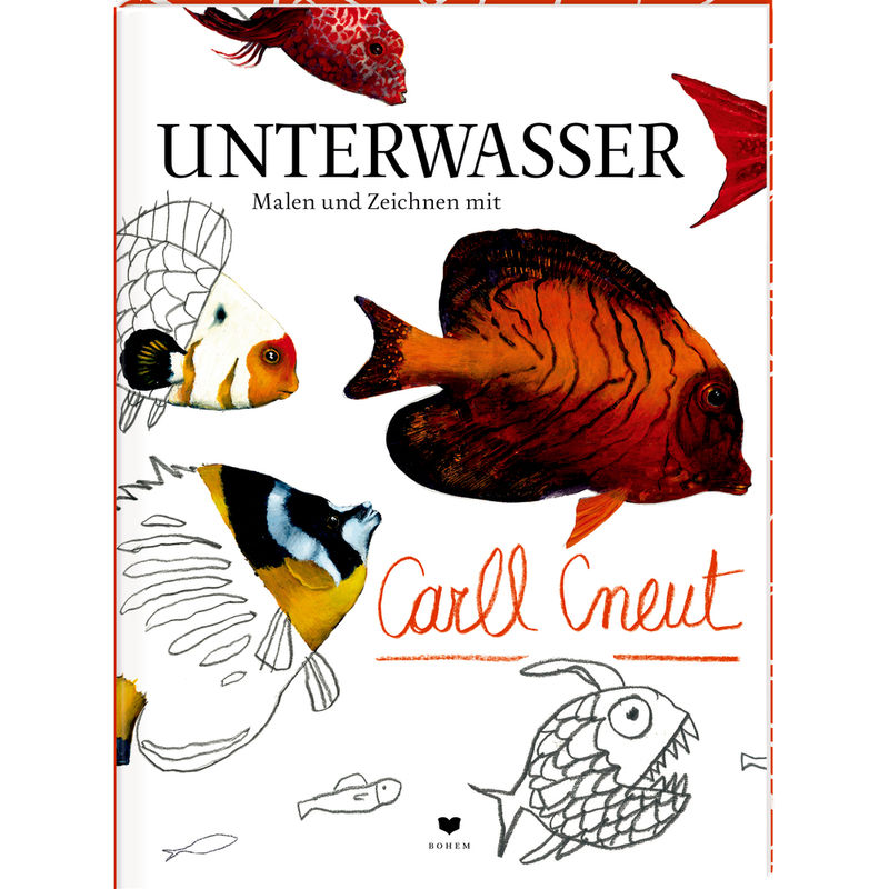 Unterwasser - Carll Cneut, Gebunden von BOHEM PRESS