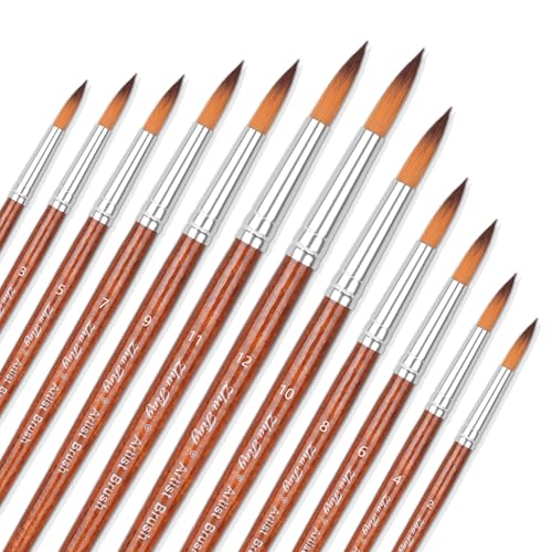 BOHUIZ 12 Aquarellpinsel Set, Feiner Pinsel Nylon Runde Spitze Pinsel Künstlermalpinsel Pinselset Acrylfarben Paint Brush für Künstler Erwachsene und Kinder (Runder Kopf) von BOHUIZ