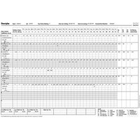 50 BOI Dienstplan DIN A2 für bis zu 21 Mitarbeiter Formulare von BOI
