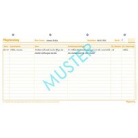 BOI Pflegeberatung Formulare, 50 St. BOI Pflegeberatung Formulare, 50 St. von BOI