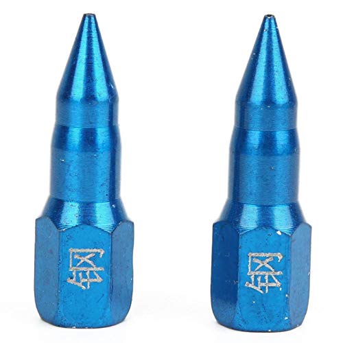 2 Stück Fettpistolendüsen Fettdüsen Metallersatz Fettdüsen Fettpistolen Schmierzubehör mit Zwei Filtern für Schwere Schwere Arbeiten(Blau) von BORDSTRACT