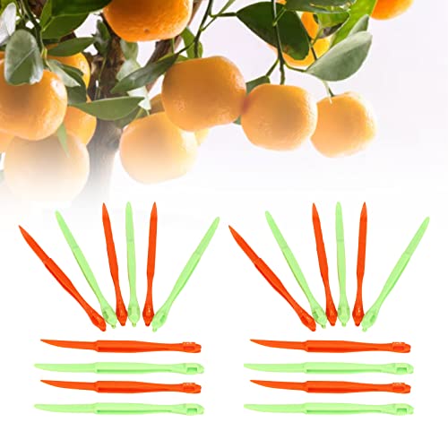 Schäler Orangenschäler Obstschäler Zitrusschäler Zitronenschäler Küchenbedarf Werkzeuge Praktisch Schnell Umweltfreundlich Hygienisch Sichere Obstwerkzeuge von BORDSTRACT