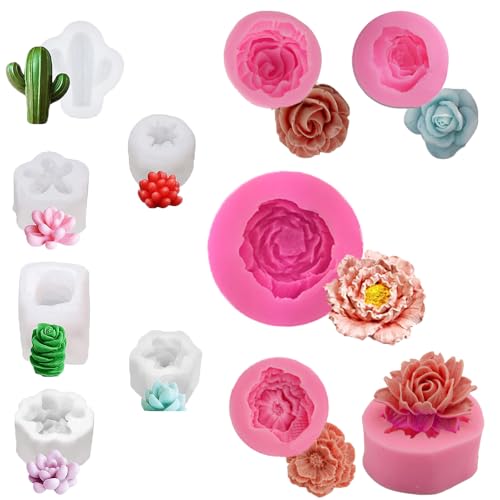 11 Stück Sukkulenten Silikonform Blumenformen, Kaktus Harz Form Blüte Rose Silikonkerzenform für DIY handgemachte Seife Kuchen Dekoration Kerze machen Epoxidharz Polymer Ton Dessert Schokolade von BOSOIRSOU