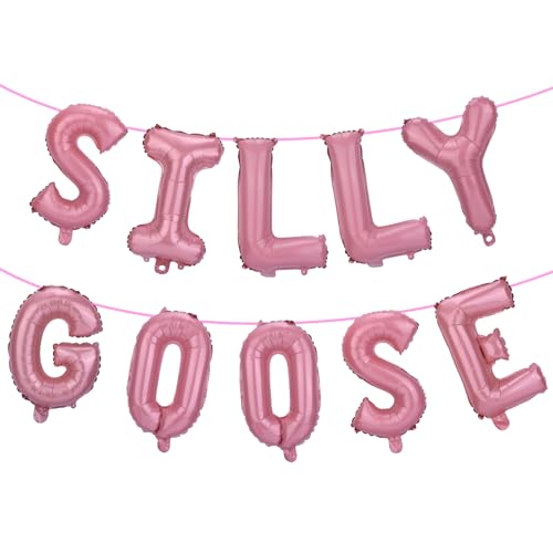 BOXOB Silly Goose Ballonbanner, Silly Goose Ballongirlande mit Band Bauernhoftierthema Geburtstagsparty Deko für Jungen und Mädchen (Pink) von BOXOB