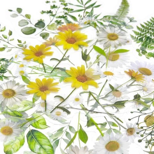 BRDXOOL 40 Stück Retro-Pflanzen-PET-Aufkleberpaket Handbuch DIY dekorative Aufkleber, geeignet für Tagebücher, Grußkarten und kreative handgemachte botanische Illustrationen von BRDXOOL