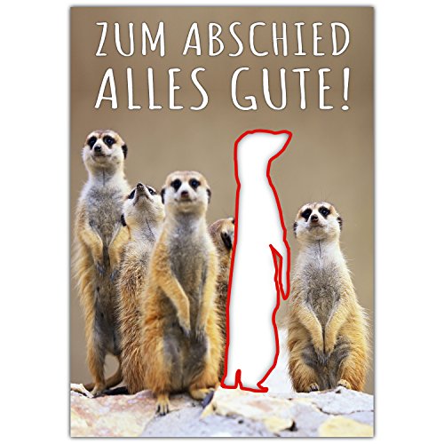 A4 XXL Abschiedskarte ERDMÄNNCHEN WEG mit Umschlag - Klappkarte für Kollegen zur Rente Pension Mutterschutz Jobwechsel Ruhestand Karte von BREITENWERK A4 XXL Abschiedskarte ERDMÄNNCHEN WEG mit Umschlag - Klappkarte für Kollegen zur Rente Pension Mutterschutz Jobwechsel Ruhestand Karte von BREITENWERK von BREITENWERK