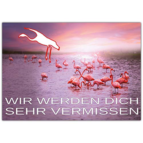 A4 XXL Abschiedskarte FLAMINGOS mit Umschlag - edle Klappkarte für Kollegen zur Rente Pension Jobwechsel Mutterschutz Ruhestand Karte von BREITENWERK A4 XXL Abschiedskarte FLAMINGOS mit Umschlag - edle Klappkarte für Kollegen zur Rente Pension Jobwechsel Mutterschutz Ruhestand Karte von BREITENWERK von BREITENWERK