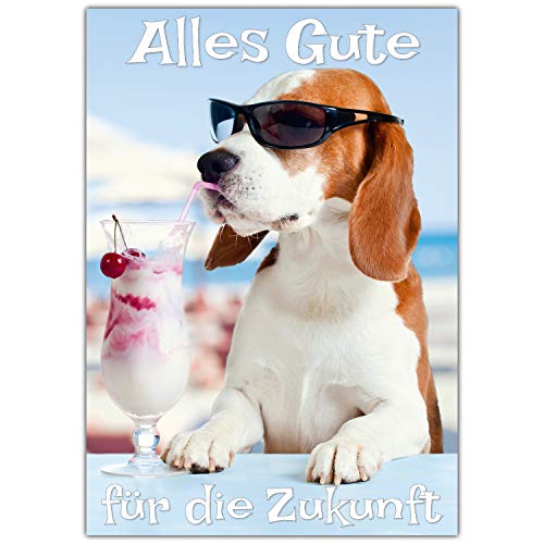 A4 XXL Abschiedskarte HUND IM URLAUB mit Umschlag - lustige Klappkarte für Kollegen zur Rente Pension Mutterschutz Ruhestand Karte von BREITENWERK A4 XXL Abschiedskarte HUND IM URLAUB mit Umschlag - lustige Klappkarte für Kollegen zur Rente Pension Mutterschutz Ruhestand Karte von BREITENWERK von BREITENWERK