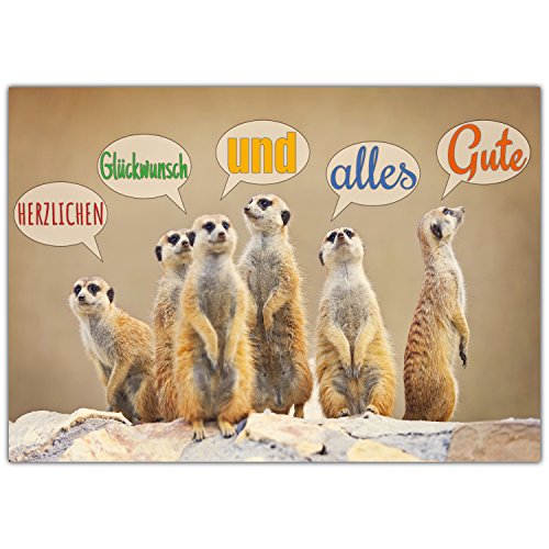 BREITENWERK A4 XXL Glückwunschkarte ERDMÄNNCHEN mit Umschlag - edle Klappkarte geeignet für alle Anlässe wie Geburtstag Hochzeit Jubiläum Karte BREITENWERK A4 XXL Glückwunschkarte ERDMÄNNCHEN mit Umschlag - edle Klappkarte geeignet für alle Anlässe wie Geburtstag Hochzeit Jubiläum Karte von BREITENWERK