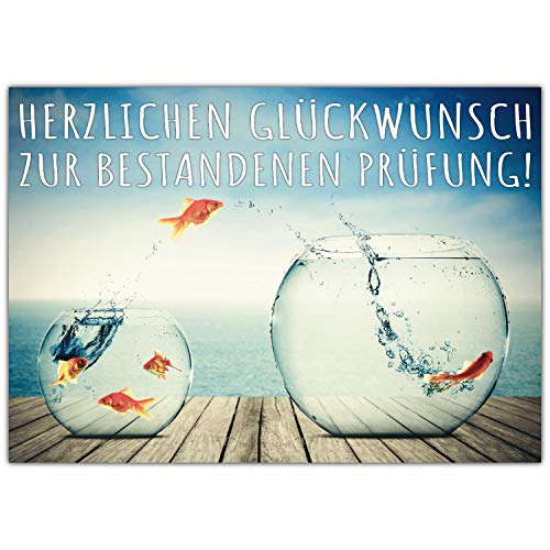 A4 XXL Glückwunschkarte zur bestandenen Prüfung GOLDFISCHGLAS mit Umschlag - edle Klappkarte zur Abschluss-Prüfung bestanden Karte von BREITENWERK A4 XXL Glückwunschkarte zur bestandenen Prüfung GOLDFISCHGLAS mit Umschlag - edle Klappkarte zur Abschluss-Prüfung bestanden Karte von BREITENWERK von BREITENWERK