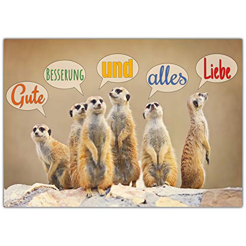 A4 XXL Gute Besserung Karte ERDMÄNNCHEN mit Umschlag - edle Klappkarte zur Genesung von Kollegen Freunden Verwandten Genesungskarte von BREITENWERK A4 XXL Gute Besserung Karte ERDMÄNNCHEN mit Umschlag - edle Klappkarte zur Genesung von Kollegen Freunden Verwandten Genesungskarte von BREITENWERK von BREITENWERK