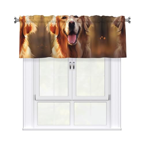 BROLEO Kurzgardine mit "Golden Retriever"-Aufdruck, mit Volantstange, 137,2 x 45,7 cm, Vorhang, Volant, Küche, Badezimmer, Waschküche, Studio, Heimdekoration BROLEO Kurzgardine mit "Golden Retriever"-Aufdruck, mit Volantstange, 137,2 x 45,7 cm, Vorhang, Volant, Küche, Badezimmer, Waschküche, Studio, Heimdekoration von BROLEO