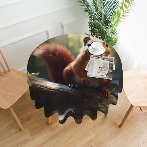 BROLEO Lustige Tischdecke mit Eichhörnchen-Druck, rund, 152,4 cm, wasserdicht und schmutzabweisend, geeignet für Restaurants von BROLEO