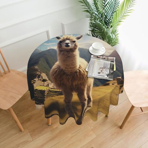 BROLEO Runde dekorative Tischdecke, 152,4 cm, Lama-Druck, wasserdicht, waschbar und wiederverwendbar, für Essen, Kaffee, Picknick, Hochzeit, Party BROLEO Runde dekorative Tischdecke, 152,4 cm, Lama-Druck, wasserdicht, waschbar und wiederverwendbar, für Essen, Kaffee, Picknick, Hochzeit, Party von BROLEO