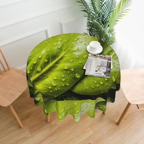 BROLEO Runde dekorative Tischdecke, 152,4 cm, zwei Gemüseblätter, bedruckt, wasserdicht, waschbar und wiederverwendbar, für Essen, Kaffee, Picknick, Hochzeit, Party BROLEO Runde dekorative Tischdecke, 152,4 cm, zwei Gemüseblätter, bedruckt, wasserdicht, waschbar und wiederverwendbar, für Essen, Kaffee, Picknick, Hochzeit, Party von BROLEO