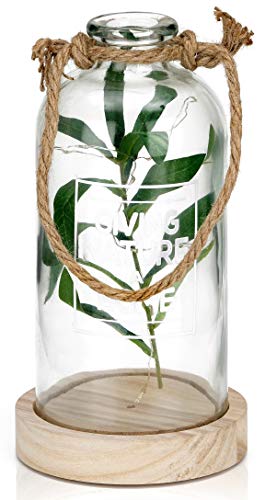 BRUBAKER Lichterflasche 23 cm mit Olivenzweigen und 10 LED Lichtern zum Aufhängen von BRUBAKER