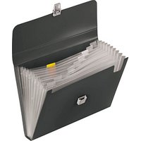 BRUNNEN Fächermappe FACT!pp 10 Fächer grau, 1 St. von BRUNNEN