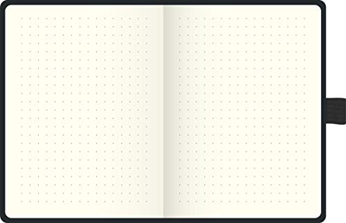 BRUNNEN Notizbuch A6 dotted metallic von BRUNNEN