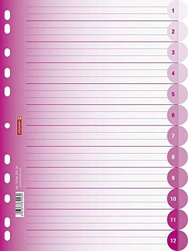 Brunnen 1066595 Ringbuchregister Colour Code für Ordner und Ringbücher, aus PP, für A4, 12 Tabs (12 Tabs, pink | 10er Packung) von BRUNNEN