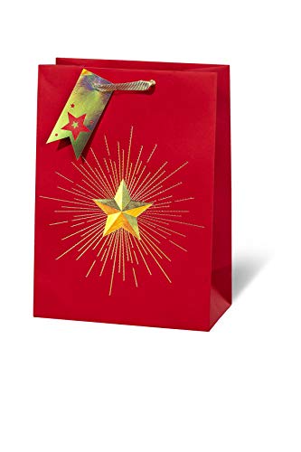 bsb Geschenktasche Geschenktüte Papiertüte Papiertasche Weihnachten "Christmas Star" A4-Format von bsb