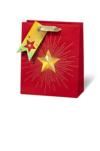 bsb Geschenktasche Geschenktüte Papiertüte Papiertasche Weihnachten "Christmas Star" Buch-Format von bsb