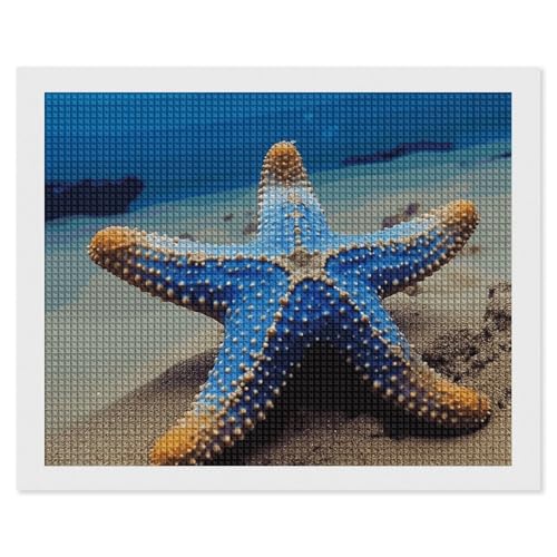 BSCKKDMN Blue Sea Star Diamond Painting Kits für Erwachsene, Diamantkunst-Set für Anfänger, 5D DIY Full Square Diamond Art Craft Kits für Erwachsene für Home Wall Decor BSCKKDMN Blue Sea Star Diamond Painting Kits für Erwachsene, Diamantkunst-Set für Anfänger, 5D DIY Full Square Diamond Art Craft Kits für Erwachsene für Home Wall Decor von BSCKKDMN