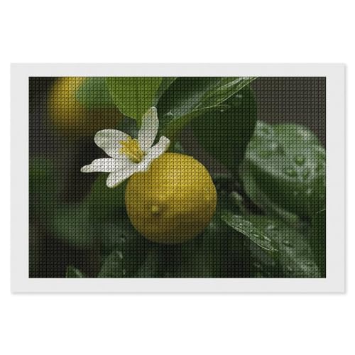 BSCKKDMN Bright Blooming Lemon Diamond Painting Kits for Adults Diamond Art Kit for Beginner 5D DIY Full Square Diamond Art Craft Kits for Adults for Home Wall Decor BSCKKDMN Bright Blooming Lemon Diamond Painting Kits for Adults Diamond Art Kit for Beginner 5D DIY Full Square Diamond Art Craft Kits for Adults for Home Wall Decor von BSCKKDMN