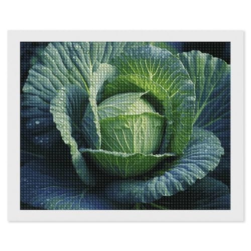 BSCKKDMN Bright Cabbage Diamond Painting Kits for Adults Diamond Art Kit for Beginner 5D DIY Full Square Diamond Art Craft Kits for Adults for Home Wall Decor BSCKKDMN Bright Cabbage Diamond Painting Kits for Adults Diamond Art Kit for Beginner 5D DIY Full Square Diamond Art Craft Kits for Adults for Home Wall Decor von BSCKKDMN