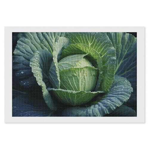 BSCKKDMN Bright Cabbage Diamond Painting Kits for Adults Diamond Art Kit for Beginner 5D DIY Full Square Diamond Art Craft Kits for Adults for Home Wall Decor von BSCKKDMN