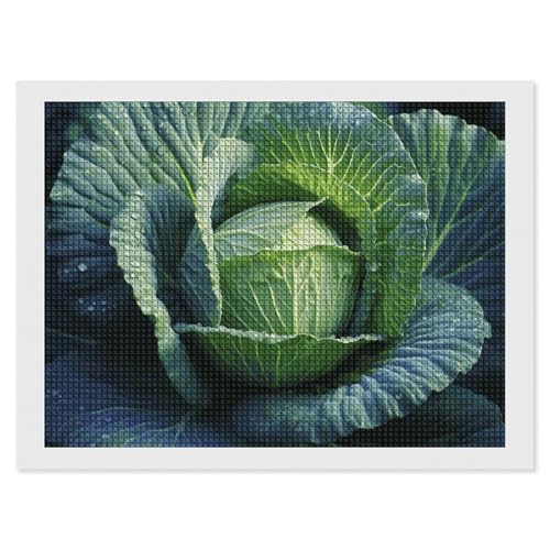 BSCKKDMN Bright Cabbage Diamond Painting Kits for Adults Diamond Art Kit for Beginner 5D DIY Full Square Diamond Art Craft Kits for Adults for Home Wall Decor BSCKKDMN Bright Cabbage Diamond Painting Kits for Adults Diamond Art Kit for Beginner 5D DIY Full Square Diamond Art Craft Kits for Adults for Home Wall Decor von BSCKKDMN