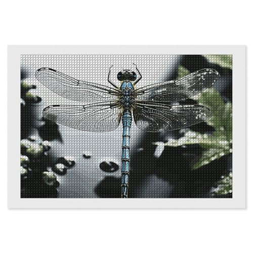 BSCKKDMN Dragonfly Diamond Painting Kits für Erwachsene Diamond Art Kit für Anfänger 5D DIY Full Square Diamond Art Craft Kits für Erwachsene für Home Wall Decor BSCKKDMN Dragonfly Diamond Painting Kits für Erwachsene Diamond Art Kit für Anfänger 5D DIY Full Square Diamond Art Craft Kits für Erwachsene für Home Wall Decor von BSCKKDMN