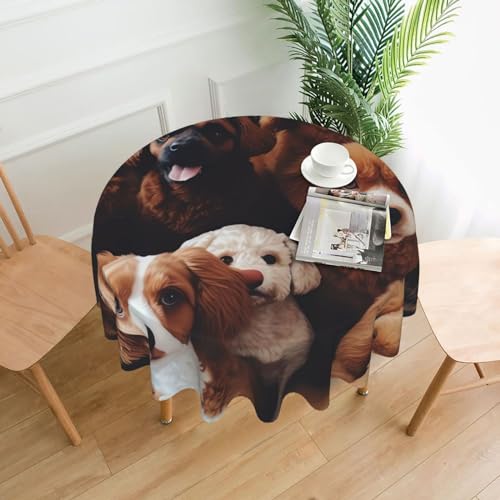 BSCKKDMN Runde Tischdecke, 152,4 cm, Hunde-Tischdecken, schmutzabweisend, waschbar, knitterfrei, abwischbar, moderne Bauernhaus-Dekorationen für Party, Picknick, Zuhause, Küche BSCKKDMN Runde Tischdecke, 152,4 cm, Hunde-Tischdecken, schmutzabweisend, waschbar, knitterfrei, abwischbar, moderne Bauernhaus-Dekorationen für Party, Picknick, Zuhause, Küche von BSCKKDMN