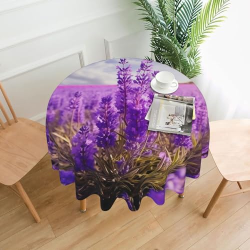 BSCKKDMN Runde Tischdecke, 152,4 cm, Lavendelblumen, schmutzabweisend, waschbar, Tischdecke, knitterfrei, abwischbar, moderne Bauernhaus-Dekorationen für Party, Picknick, Zuhause, Küche BSCKKDMN Runde Tischdecke, 152,4 cm, Lavendelblumen, schmutzabweisend, waschbar, Tischdecke, knitterfrei, abwischbar, moderne Bauernhaus-Dekorationen für Party, Picknick, Zuhause, Küche von BSCKKDMN