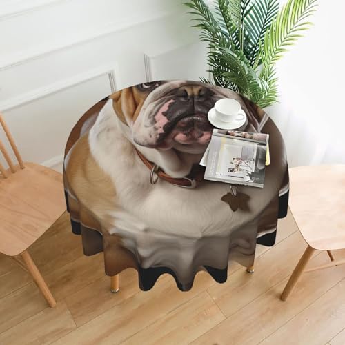 BSCKKDMN Runde Tischdecke, 152,4 cm, englische Bulldogge, schmutzabweisend, waschbar, knitterfrei, abwischbar, moderne Bauernhaus-Dekorationen für Party, Picknick, Zuhause, Küche BSCKKDMN Runde Tischdecke, 152,4 cm, englische Bulldogge, schmutzabweisend, waschbar, knitterfrei, abwischbar, moderne Bauernhaus-Dekorationen für Party, Picknick, Zuhause, Küche von BSCKKDMN