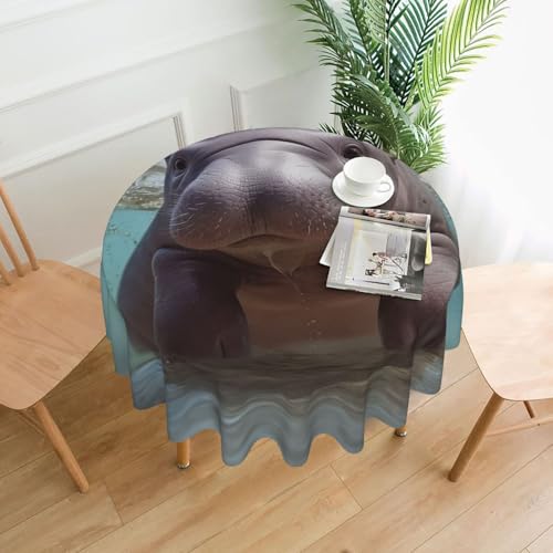 BSCKKDMN Runde Tischdecke, 152,4 cm, niedliches Nilpferd-Tischdecken, schmutzabweisend, waschbar, knitterfrei, abwischbar, moderne Bauernhaus-Dekorationen für Party, Picknick, Zuhause, Küche BSCKKDMN Runde Tischdecke, 152,4 cm, niedliches Nilpferd-Tischdecken, schmutzabweisend, waschbar, knitterfrei, abwischbar, moderne Bauernhaus-Dekorationen für Party, Picknick, Zuhause, Küche von BSCKKDMN