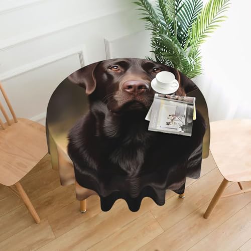 Runde Tischdecke, Labrador Retriever, 152,4 cm, schmutzabweisend, waschbar, knitterfrei, abwischbar, moderne Bauernhaus-Dekorationen für Party, Picknick, Zuhause, Küche Runde Tischdecke, Labrador Retriever, 152,4 cm, schmutzabweisend, waschbar, knitterfrei, abwischbar, moderne Bauernhaus-Dekorationen für Party, Picknick, Zuhause, Küche von BSCKKDMN