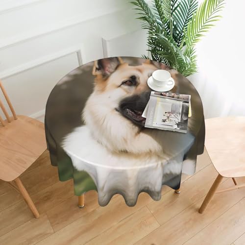 Runde Tischdecke, Motiv: Deutscher Schäferhund, schmutzabweisend, waschbar, knitterfrei, abwischbar, moderne Bauernhaus-Dekorationen für Party, Picknick, Zuhause, Küche, 152,4 cm Runde Tischdecke, Motiv: Deutscher Schäferhund, schmutzabweisend, waschbar, knitterfrei, abwischbar, moderne Bauernhaus-Dekorationen für Party, Picknick, Zuhause, Küche, 152,4 cm von BSCKKDMN