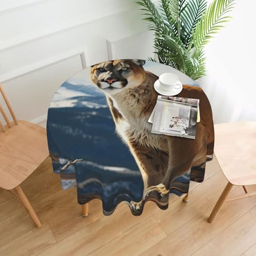 Runde Tischdecke, Panther, Berglöwe, 152,4 cm, schmutzabweisend, waschbar, knitterfrei, abwischbar, moderne Bauernhaus-Dekorationen für Party, Picknick, Zuhause, Küche Runde Tischdecke, Panther, Berglöwe, 152,4 cm, schmutzabweisend, waschbar, knitterfrei, abwischbar, moderne Bauernhaus-Dekorationen für Party, Picknick, Zuhause, Küche von BSCKKDMN