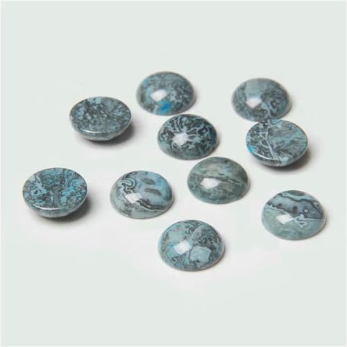 10 Stück natürliche runde Amethyst-Stein-Cabochon-Halbrückseiten-Kamee-Perlen für DIY-Frauenschmuck, Ohrringe, Ringe, Halsketten, Nr. 9, Blauer Jaspis, 14,0 mm 10 Stück natürliche runde Amethyst-Stein-Cabochon-Halbrückseiten-Kamee-Perlen für DIY-Frauenschmuck, Ohrringe, Ringe, Halsketten, Nr. 9, Blauer Jaspis, 14,0 mm von BSGUZ