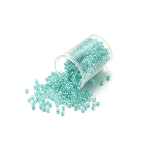 1000/1800 Stück 2 mm bonbonfarbene tschechische Glasperlen, süße kleine Perlen, Armband, Handarbeit für DIY-Schmuckherstellung, Zubehör – Seeblau – 2 mm x 1000 Stück 1000/1800 Stück 2 mm bonbonfarbene tschechische Glasperlen, süße kleine Perlen, Armband, Handarbeit für DIY-Schmuckherstellung, Zubehör – Seeblau – 2 mm x 1000 Stück von BSGUZ