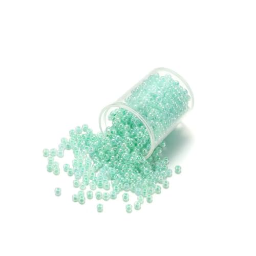 1000/1800 Stück 2 mm bonbonfarbene tschechische Glasperlen, süße kleine Perlen, Armband, Handarbeit für DIY-Schmuckherstellung, Zubehör – Türkis – 2 mm x 1800 Stück 1000/1800 Stück 2 mm bonbonfarbene tschechische Glasperlen, süße kleine Perlen, Armband, Handarbeit für DIY-Schmuckherstellung, Zubehör – Türkis – 2 mm x 1800 Stück von BSGUZ