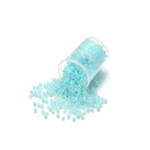 1000/1800 Stück 2 mm bonbonfarbene tschechische Glasperlen, süße kleine Perlen, Armband, Kunsthandwerk für DIY-Schmuckherstellung, Zubehör – Himmelblau – 2 mm x 1000 Stück 1000/1800 Stück 2 mm bonbonfarbene tschechische Glasperlen, süße kleine Perlen, Armband, Kunsthandwerk für DIY-Schmuckherstellung, Zubehör – Himmelblau – 2 mm x 1000 Stück von BSGUZ