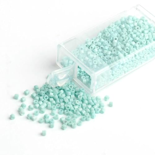 1000/3000 Stück 2 mm tschechische Glasperlen, röhrenförmig, verpackte Perlen, Zubehör für die Schmuckherstellung, DIY-Armband, Materiallieferant, Farbe 8, 1 Schachtel, 3000 S 1000/3000 Stück 2 mm tschechische Glasperlen, röhrenförmig, verpackte Perlen, Zubehör für die Schmuckherstellung, DIY-Armband, Materiallieferant, Farbe 8, 1 Schachtel, 3000 S von BSGUZ