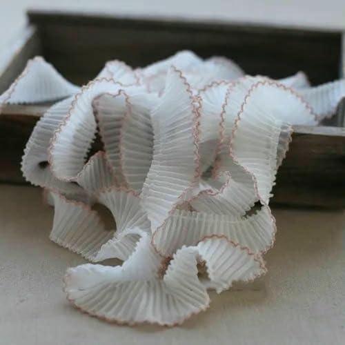 2 Meter luxuriöser weißer plissierter Chiffon, elastische Spitze, Rüschenbesatz, Band, Kleiderkragen, Applikation für Nähzubehör, 3 cm breit, Lotuswurzelstärke von BSGUZ
