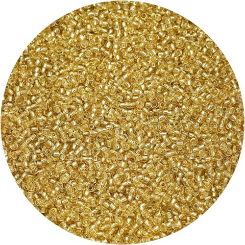2 mm, 1500 Stück, 18 g, silberfarbene Innenseite, Rocailles-Perlen aus Glas, Bastelperlen für Armbänder, Halsketten, Ringe, Rocailles-Perlen für DIY-Kunsthandwerk, Dunkelrot, 18 g, 150 2 mm, 1500 Stück, 18 g, silberfarbene Innenseite, Rocailles-Perlen aus Glas, Bastelperlen für Armbänder, Halsketten, Ringe, Rocailles-Perlen für DIY-Kunsthandwerk, Dunkelrot, 18 g, 150 von BSGUZ