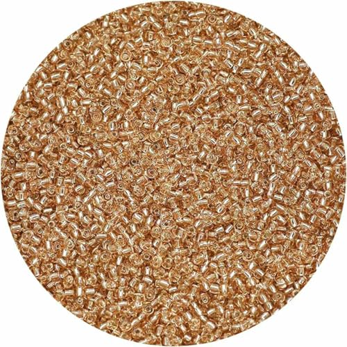 2 mm, 1500 Stück, 18 g, silberfarbene Innenseite, Rocailles-Perlen aus Glas, Bastelperlen für Armbänder, Halsketten, Ringe, Rocailles-Perlen für DIY-Kunsthandwerk, Hellrosa, 18 g, 1500 2 mm, 1500 Stück, 18 g, silberfarbene Innenseite, Rocailles-Perlen aus Glas, Bastelperlen für Armbänder, Halsketten, Ringe, Rocailles-Perlen für DIY-Kunsthandwerk, Hellrosa, 18 g, 1500 von BSGUZ