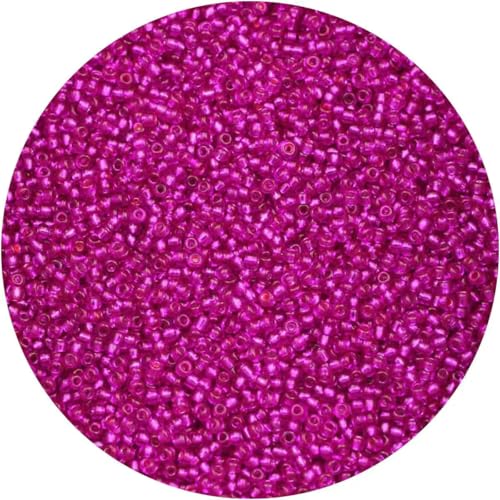 2 mm, 1500 Stück, 18 g, silberfarbene Innenseite, Rocailles-Perlen aus Glas, Bastelperlen für Armbänder, Halsketten, Ringe, zum Basteln von Rocailles-Perlen für DIY-Kunsthandwerk, lila 2 mm, 1500 Stück, 18 g, silberfarbene Innenseite, Rocailles-Perlen aus Glas, Bastelperlen für Armbänder, Halsketten, Ringe, zum Basteln von Rocailles-Perlen für DIY-Kunsthandwerk, lila von BSGUZ