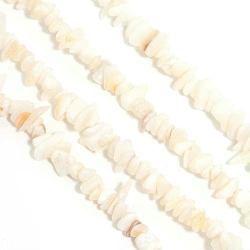 Unregelmäßige natürliche Muschelperlen, Freiform-Chips, Kiesform, lose Korallenperlen für DIY-Charm-Armbänder, Halsketten, Schmuckherstellung – weiße Muschel – 5–8 mm, ca. 220 Stück Unregelmäßige natürliche Muschelperlen, Freiform-Chips, Kiesform, lose Korallenperlen für DIY-Charm-Armbänder, Halsketten, Schmuckherstellung – weiße Muschel – 5–8 mm, ca. 220 Stück von BSGUZ